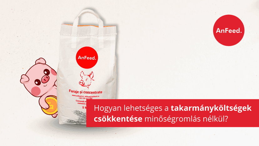 Hogyan lehetséges a takarmányköltségek csökkentése minőségromlás nélkül?