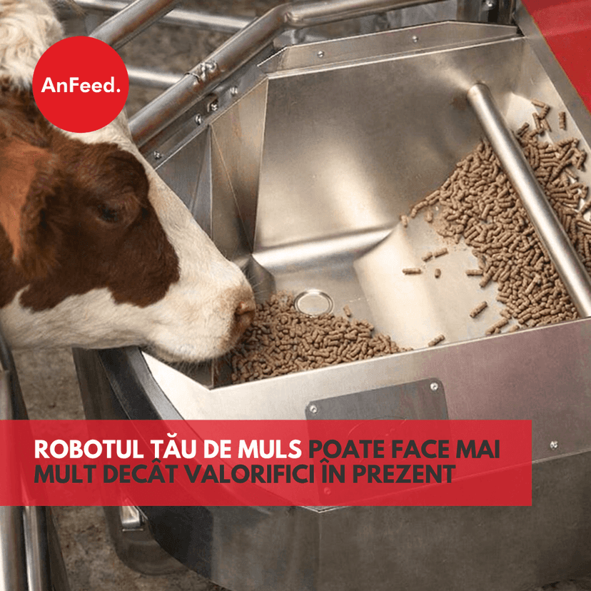 Recuperarea investiției într-un robot de muls nu este accelerată de mașină, ci de ceea ce mănâncă vaca.