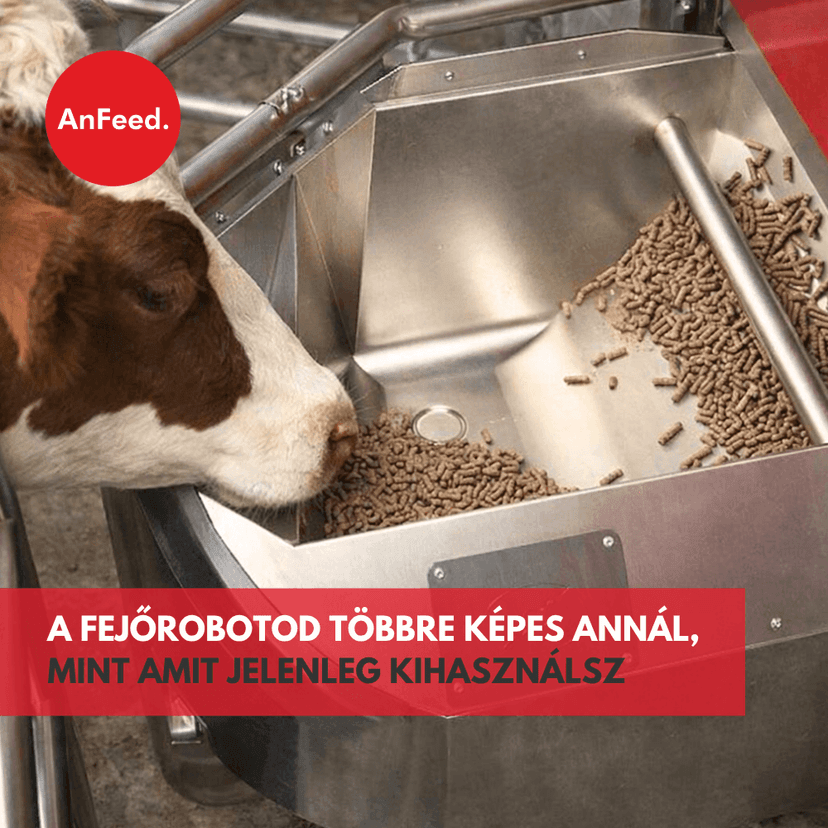 A fejőrobot megtérülését nem a gép gyorsítja, hanem amit a tehén eszik
