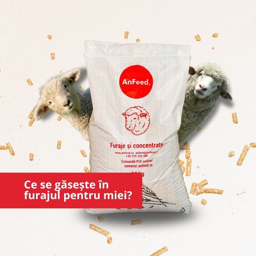 Ce conțin furajele AnFeed pentru oi și miei