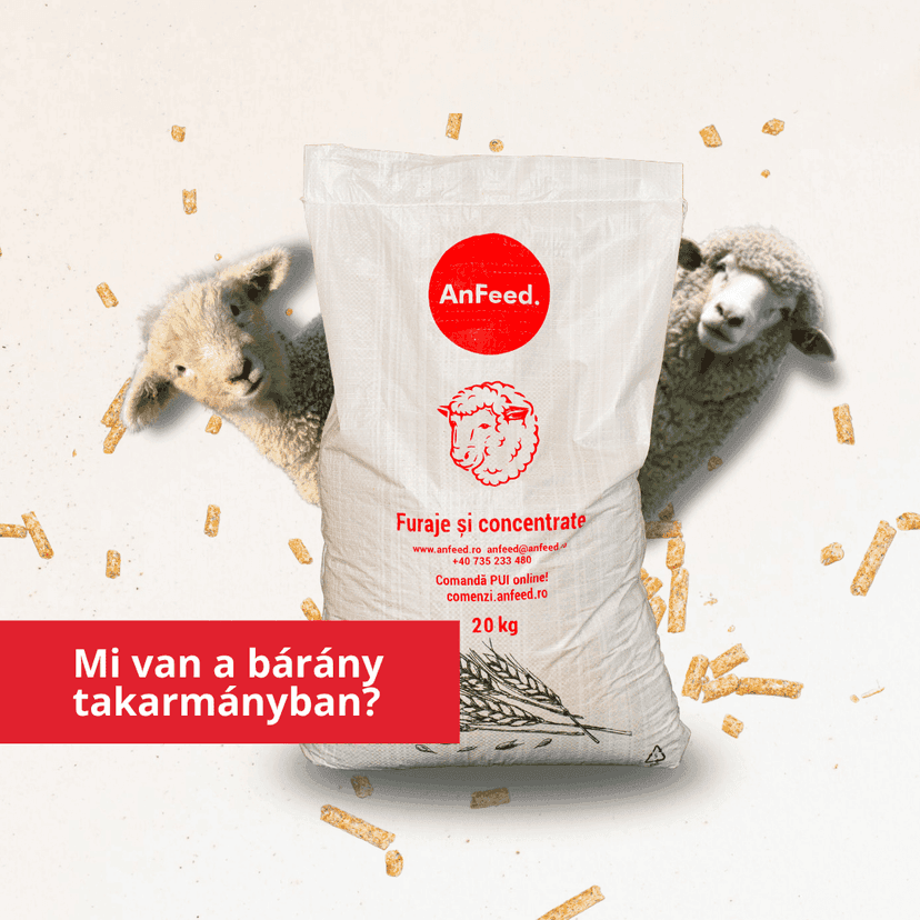 Mit tartalmaznak az AnFeed juh- és báránytakarmányok